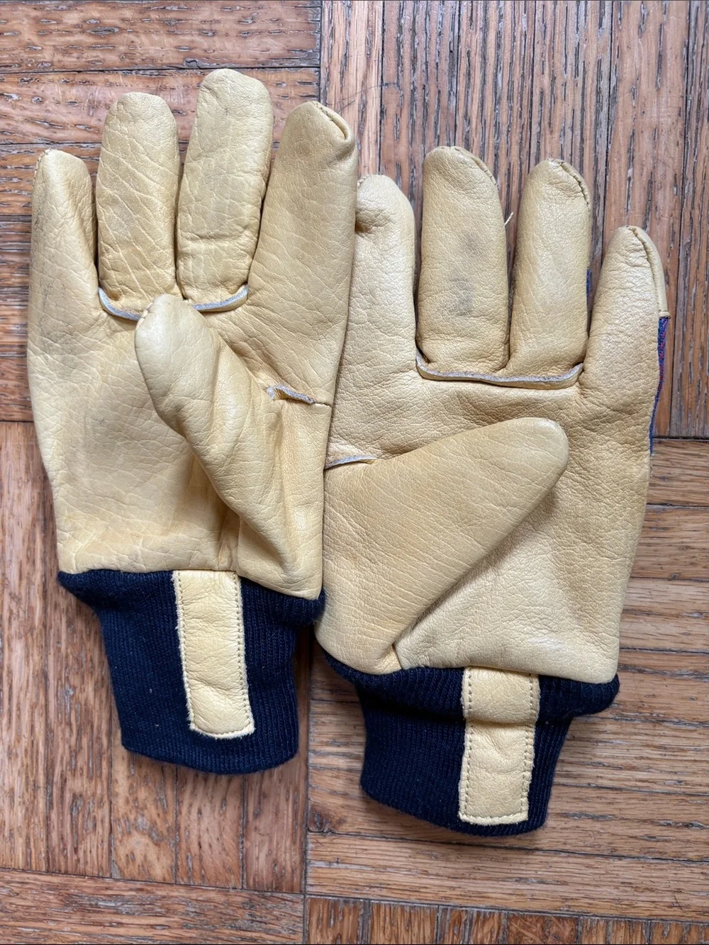 Toddler Leather-Trim Work Gloves in Blue and Yellow